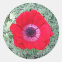 Red Flower Sticker