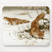 Red Fox in Winter Mouse Pad
