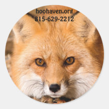 Red Fox Stickers