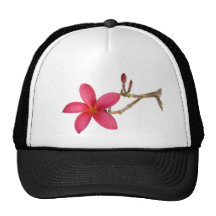 Red Frangipani flower Mesh Hats