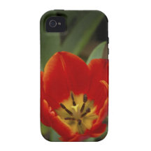 Red Garden Tulip iPhone 4 Case