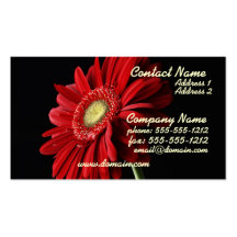 Red Gerber Daisy Business Card
