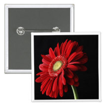 Red Gerber Daisy Square Pin
