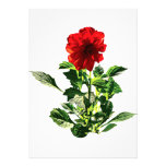 Red Gerbera Daisy Personalised Announcements