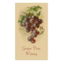Red grapes fruit sales business cards