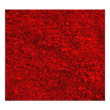 Red Grass Pattern Photographic Print