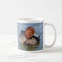 Red Head Drake Coffee Mug