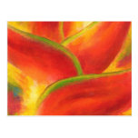 Red Heliconia Flower Art - Multi Postcards