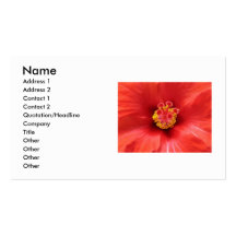 Red Hibiscus Business Card
