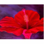 Red Hibiscus Tropical Flower Painting - Multi Acrylic Cut Out