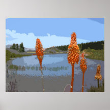 RED HOT POKERS PRINT
