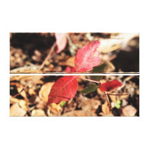 Red Leaves Gallery Wrapped Canvas