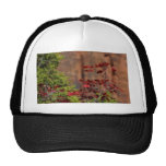 Red Leaves In Zion National Park Hat