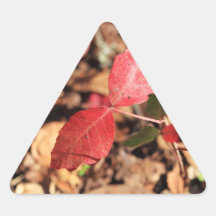Red Leaves Stickers