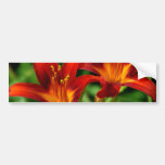 Red Lilies Bumper Sticker