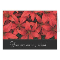 Red Lilies Card cards