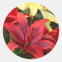 Red lily flowers stickers