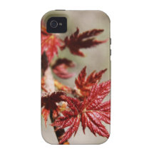 red maple new leaf i-phone case iPhone 4 cases