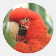 Red McCaw Stickers