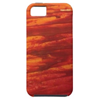 Red & Orange Painted Phone Case / Cover iPhone 5 Cases