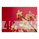Red Orchid • 40th Birthday Card