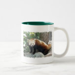 Red Panda Bear Ceramic Coffee Mug