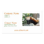 Red Panda Business Card