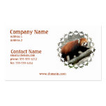 Red Panda Business Card