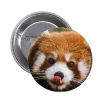 Red Panda Button