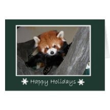 Red Panda Card