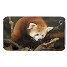 Red Panda iPod Touch Case