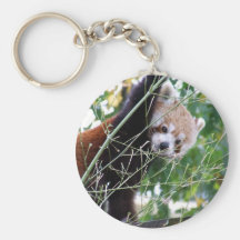 Red Panda Key Chains