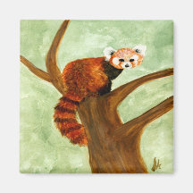 Red Panda Magnet