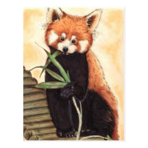 Red Panda Nom Post Card
