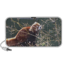 RED PANDA PORTABLE SPEAKERS