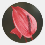 Red Peace Lily Sticker