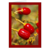 Red Peppers cards