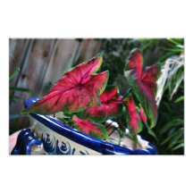 Red Plants Art Photo