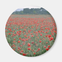 Red Poppy field, Kent, England flowers Fridge Magnets