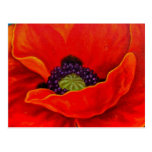 Red Poppy Flower Painting - Multi Postcard