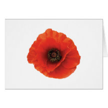 Red Poppy Greeting Card