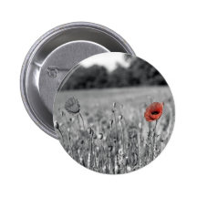 red poppy in a black and white field buttons