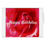 Red Red Rose Birthday Card