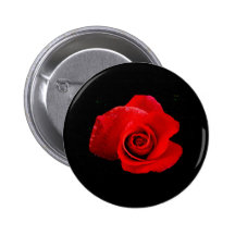 Red Red Rose Pinback Button