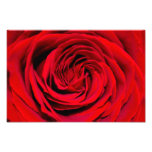 Red Rose Background Art Photo