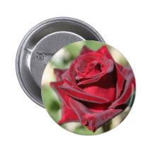 Red Rose Badge - Button