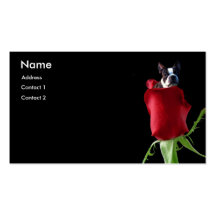Red Rose Boston Terrier business cards