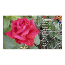 Red Rose Business Cards