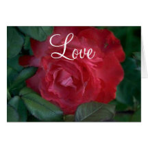 Red Rose Card