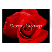 Red Rose Christmas Seasons Greetings Card